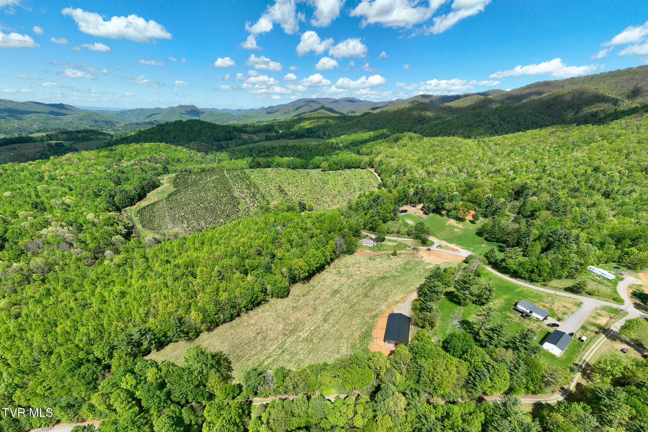 835 Red Brush Road Mountain City, TN 37683 - Photo 6 of 60 835 Red Brush Road (6 of 60)