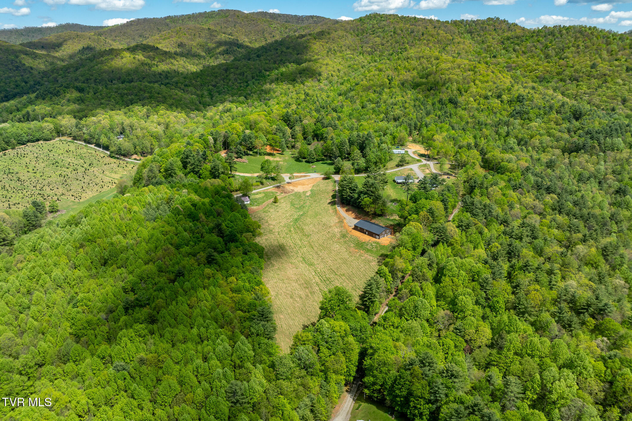 835 Red Brush Road Mountain City, TN 37683 - Photo 9 of 60 835 Red Brush Road (9 of 60)