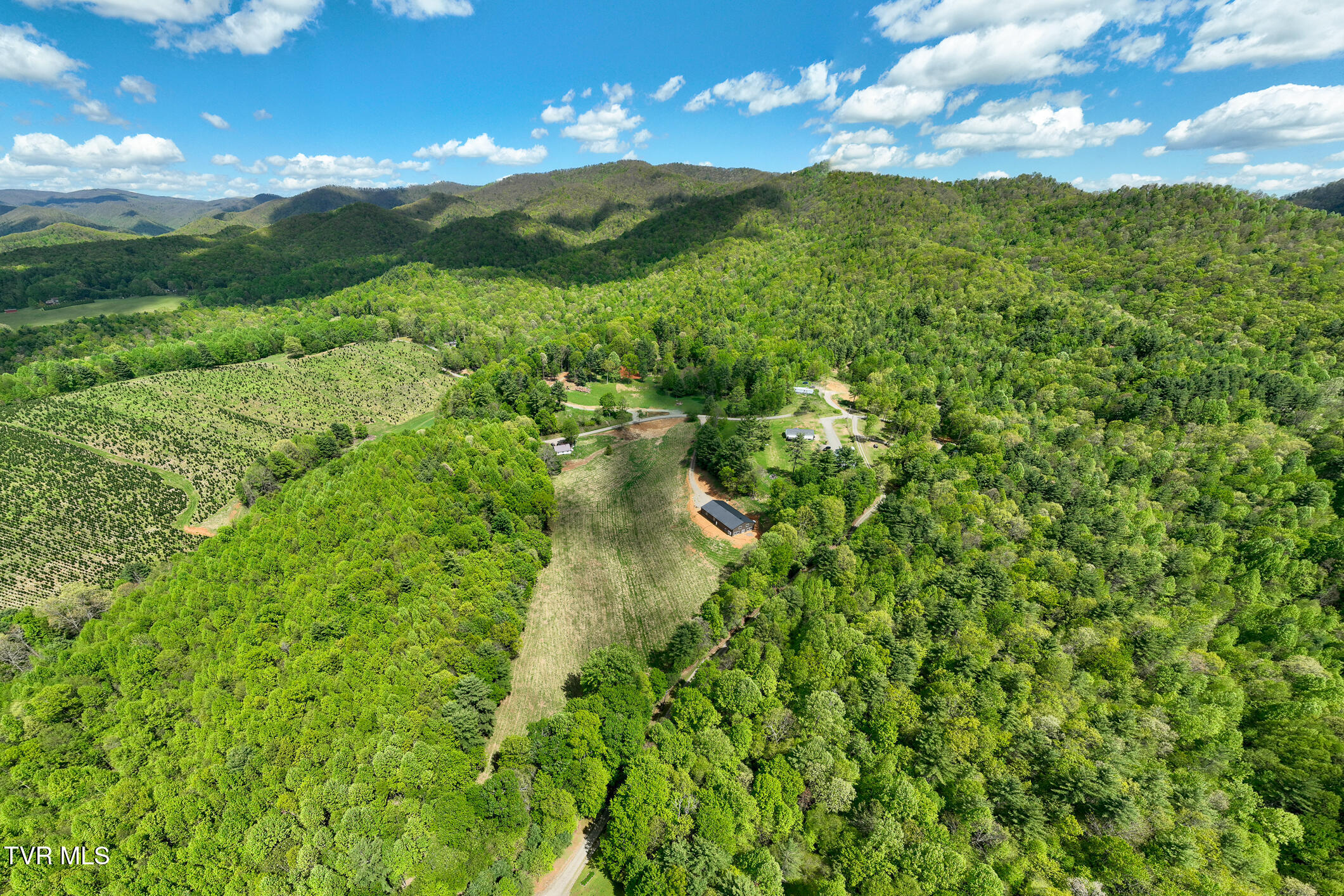 835 Red Brush Road Mountain City, TN 37683 - Photo 10 of 60 835 Red Brush Road (10 of 60)