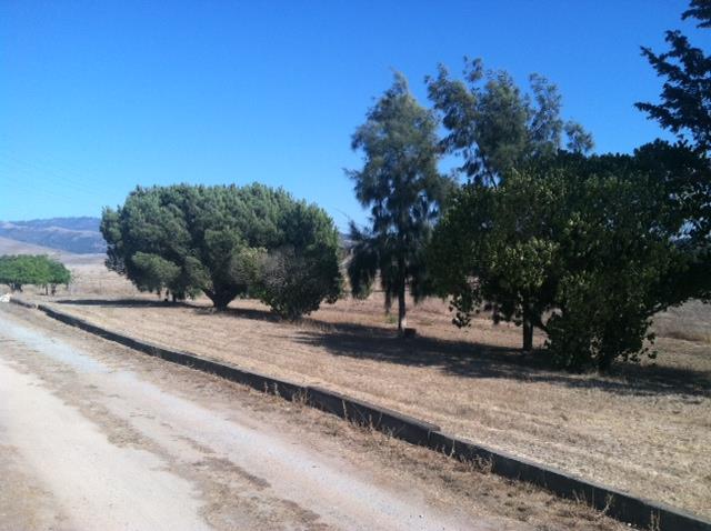 940 Old Stage Road Salinas, CA 93905 - Photo 19 of 25 Gallery Image 19