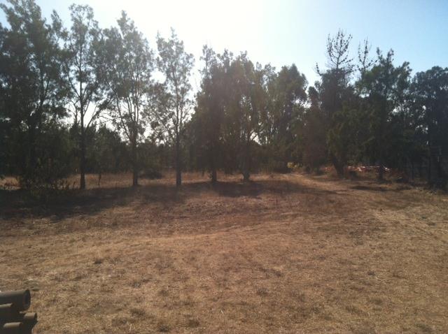 940 Old Stage Road Salinas, CA 93905 - Photo 21 of 25 Gallery Image 21