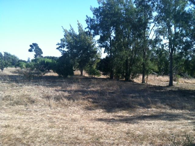 940 Old Stage Road Salinas, CA 93905 - Photo 22 of 25 Gallery Image 22