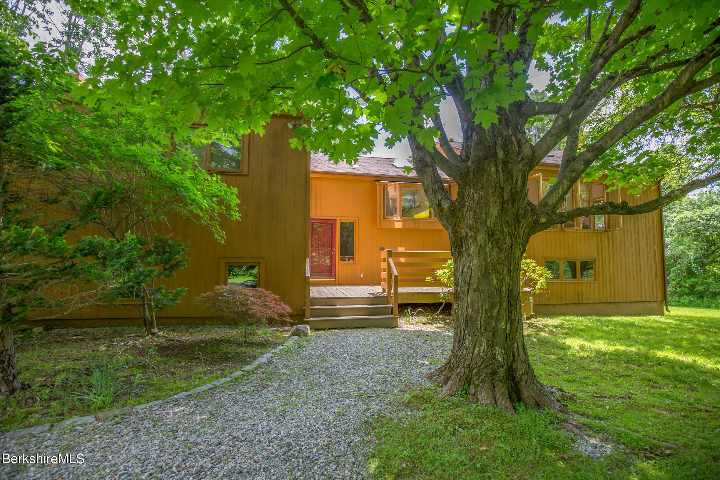 a view of a yard with a tree