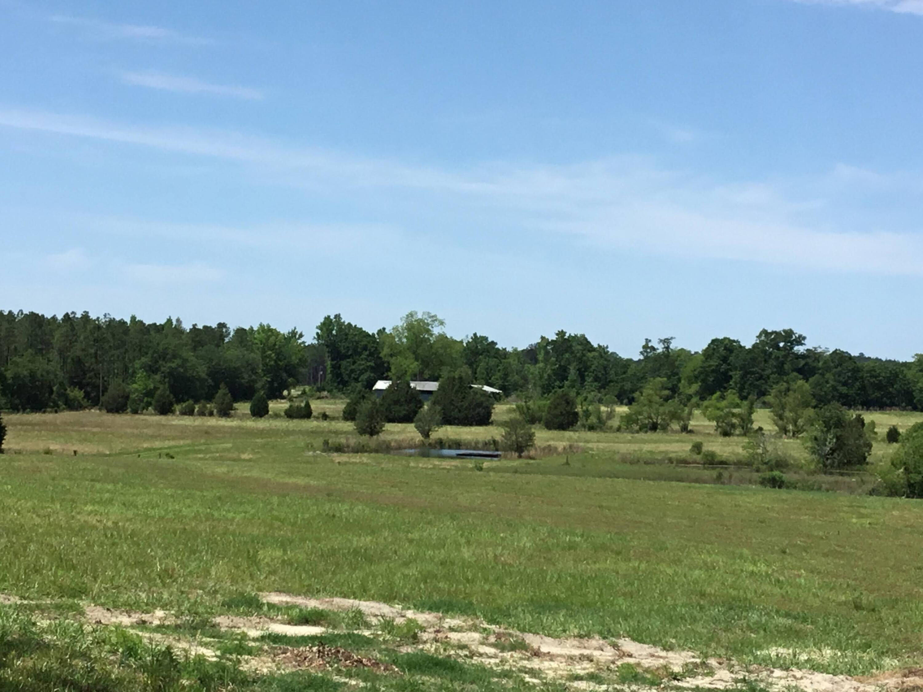 3207 Creek Road Bonifay, FL 32425 - Photo 21 of 161 IMG_1787