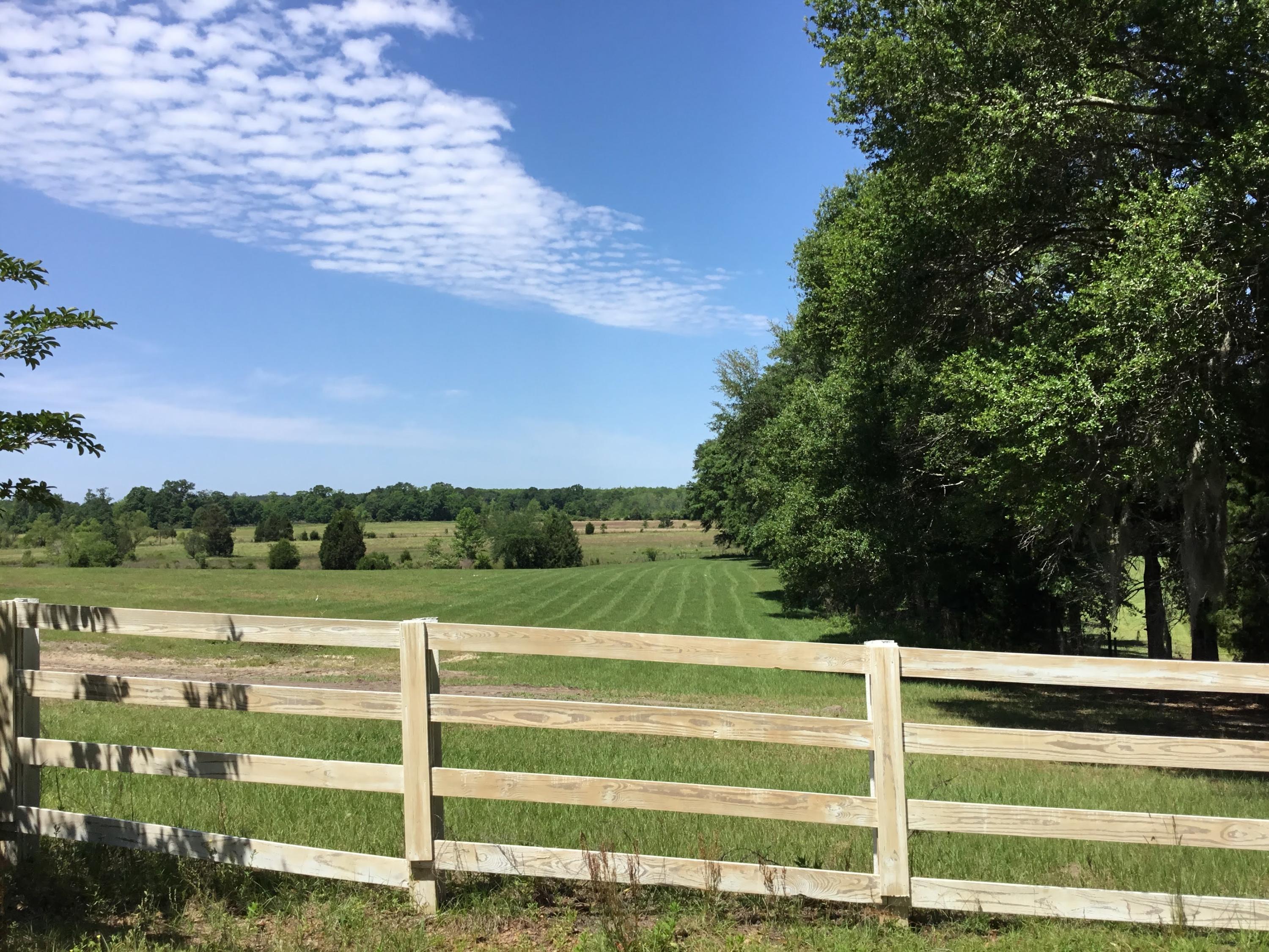 3207 Creek Road Bonifay, FL 32425 - Photo 23 of 161 IMG_1794