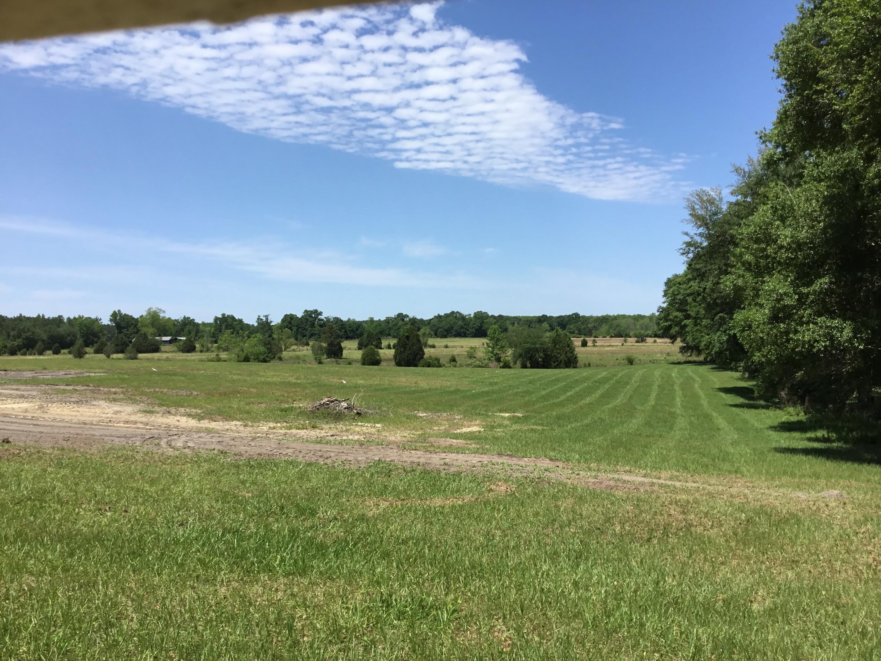 3207 Creek Road Bonifay, FL 32425 - Photo 24 of 161 IMG_1795