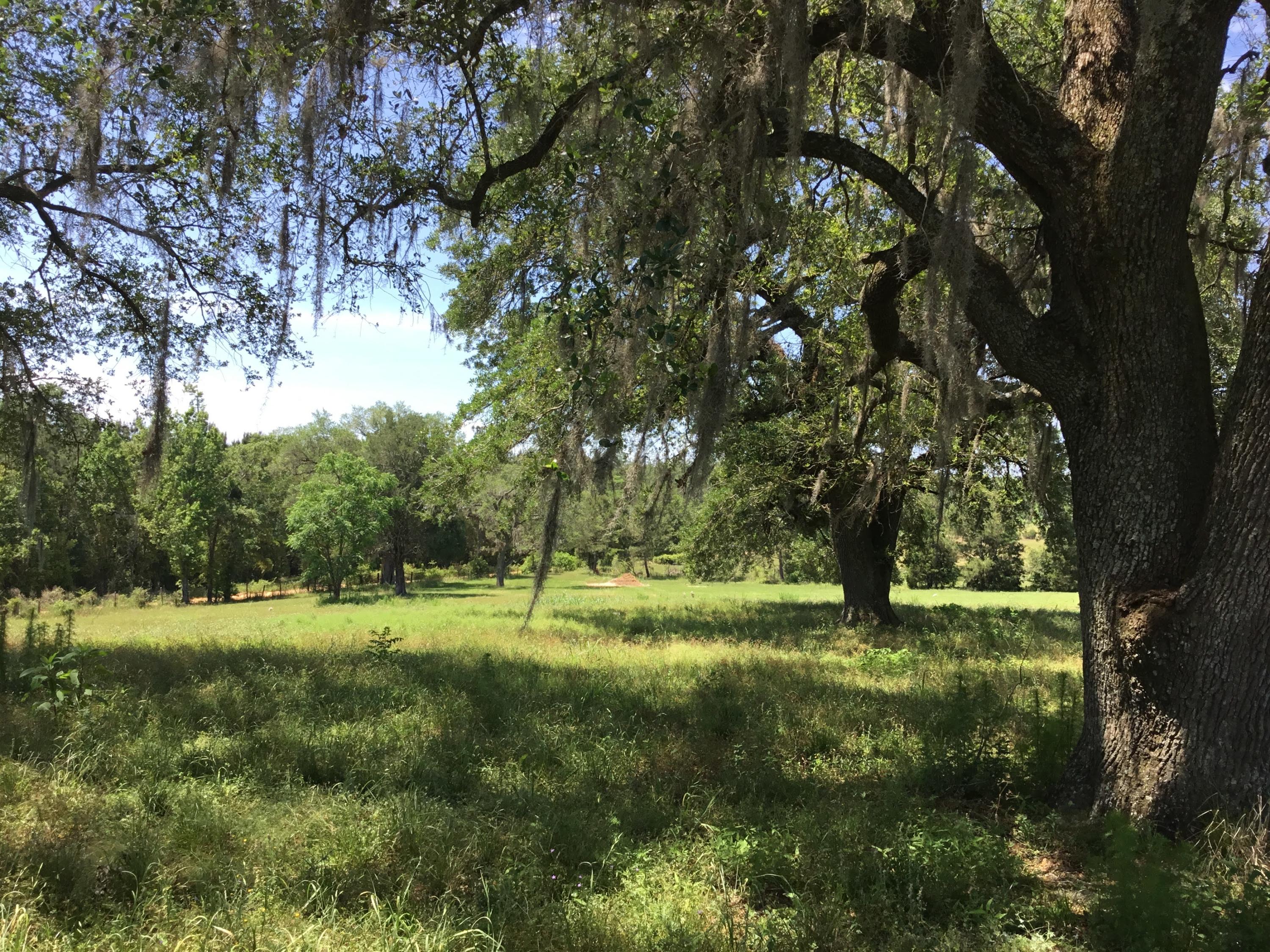 3207 Creek Road Bonifay, FL 32425 - Photo 29 of 161 IMG_1810