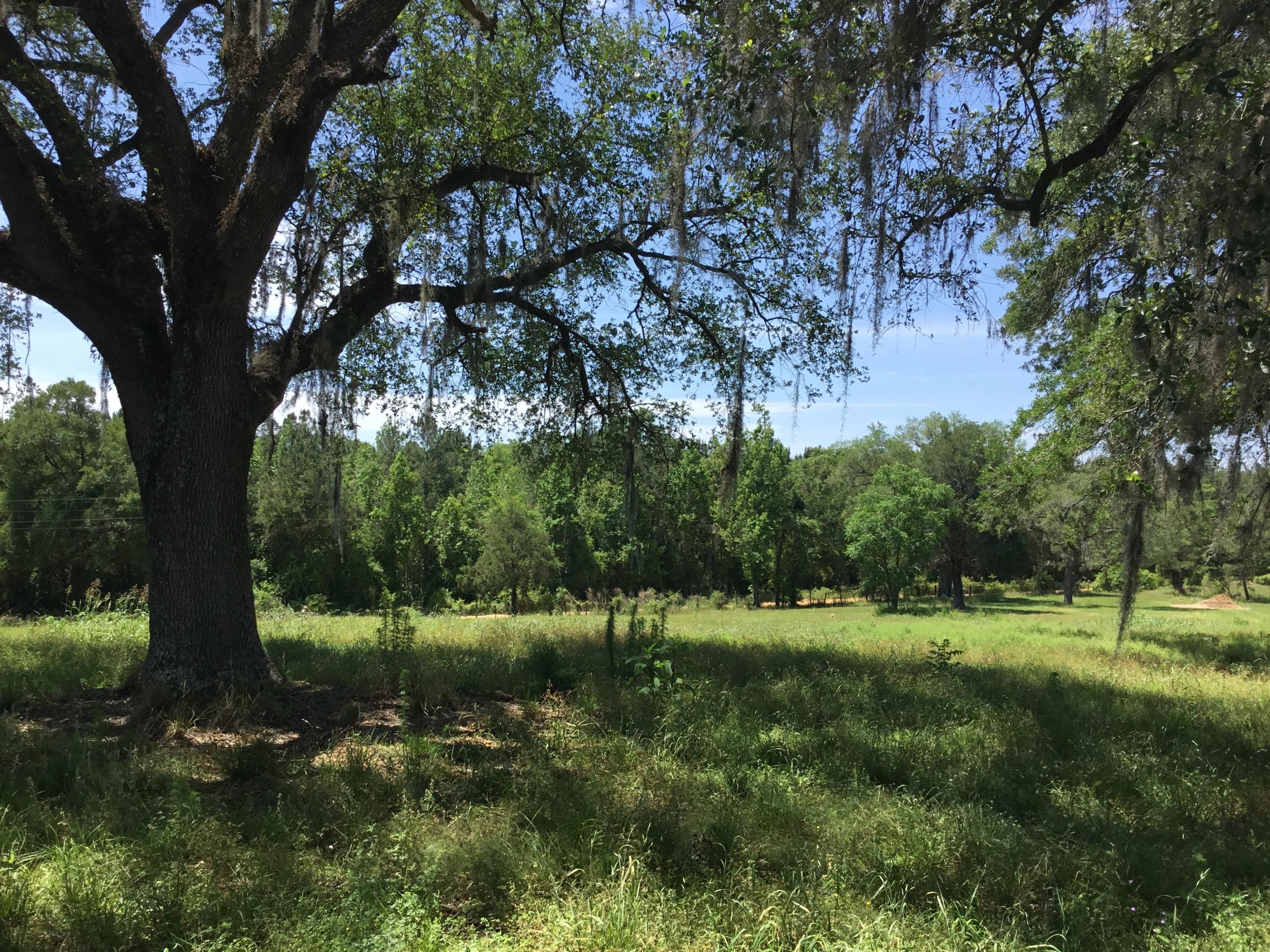 3207 Creek Road Bonifay, FL 32425 - Photo 30 of 161 IMG_1811