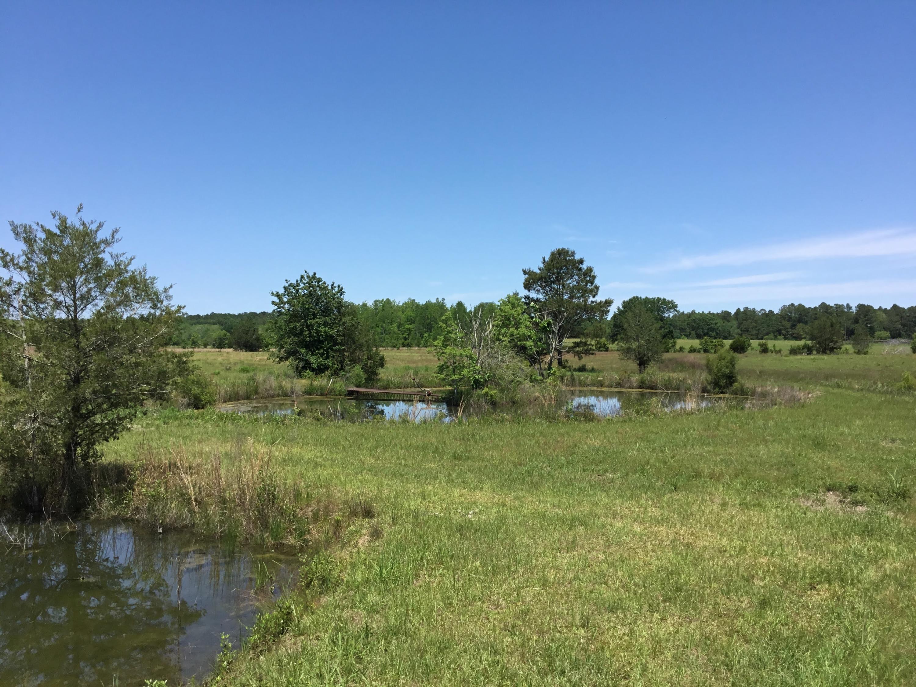 3207 Creek Road Bonifay, FL 32425 - Photo 34 of 161 IMG_1823