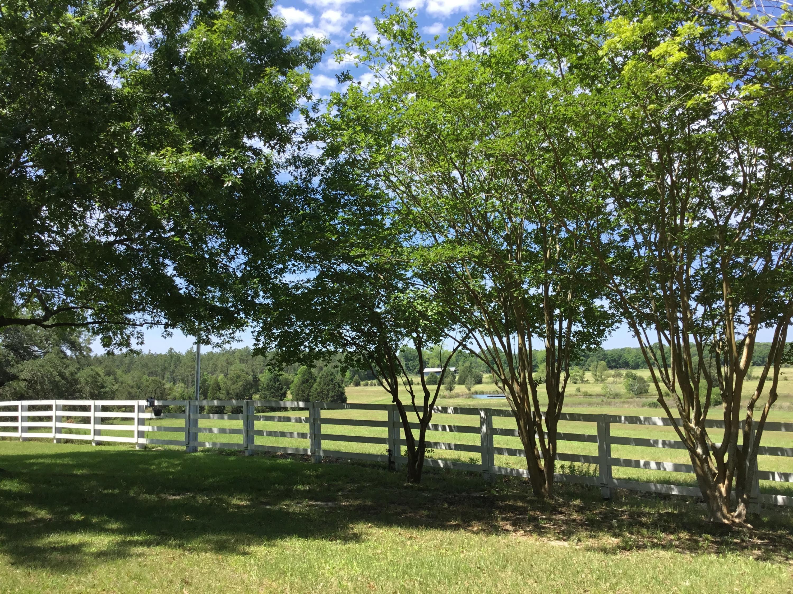 3207 Creek Road Bonifay, FL 32425 - Photo 7 of 161 IMG_1781