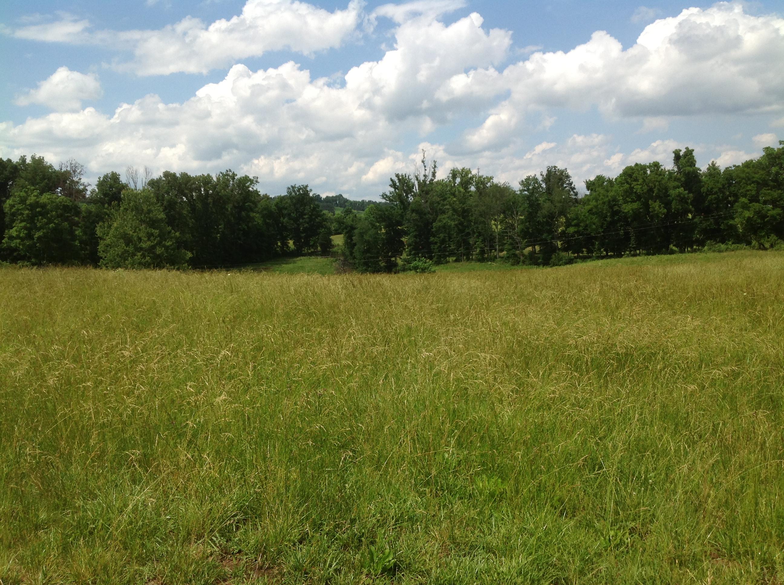 Miser Station Road Maryville, TN 37801 - Photo 3 of 23 IMG_0321