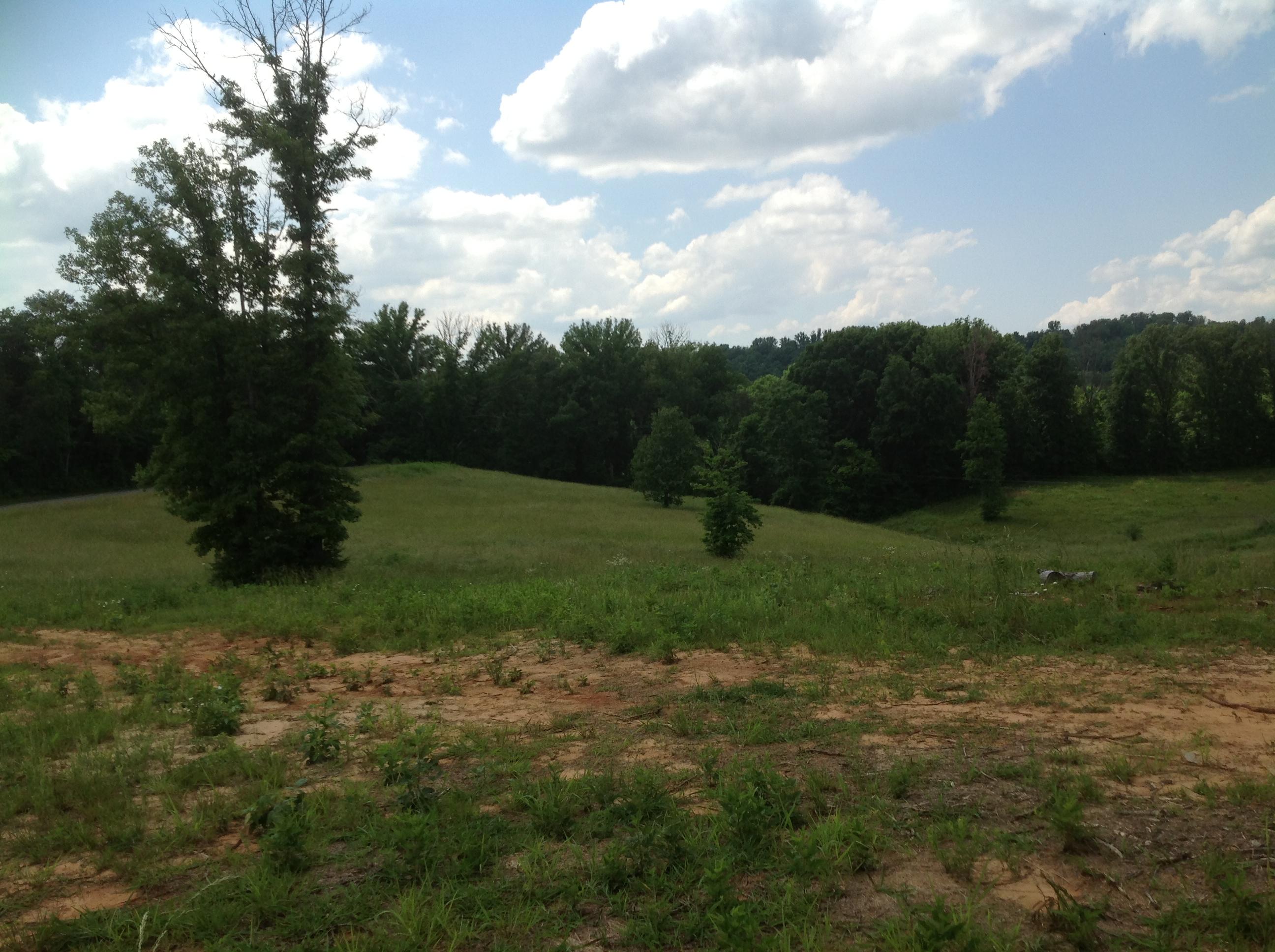 Miser Station Road Maryville, TN 37801 - Photo 22 of 23 IMG_0340
