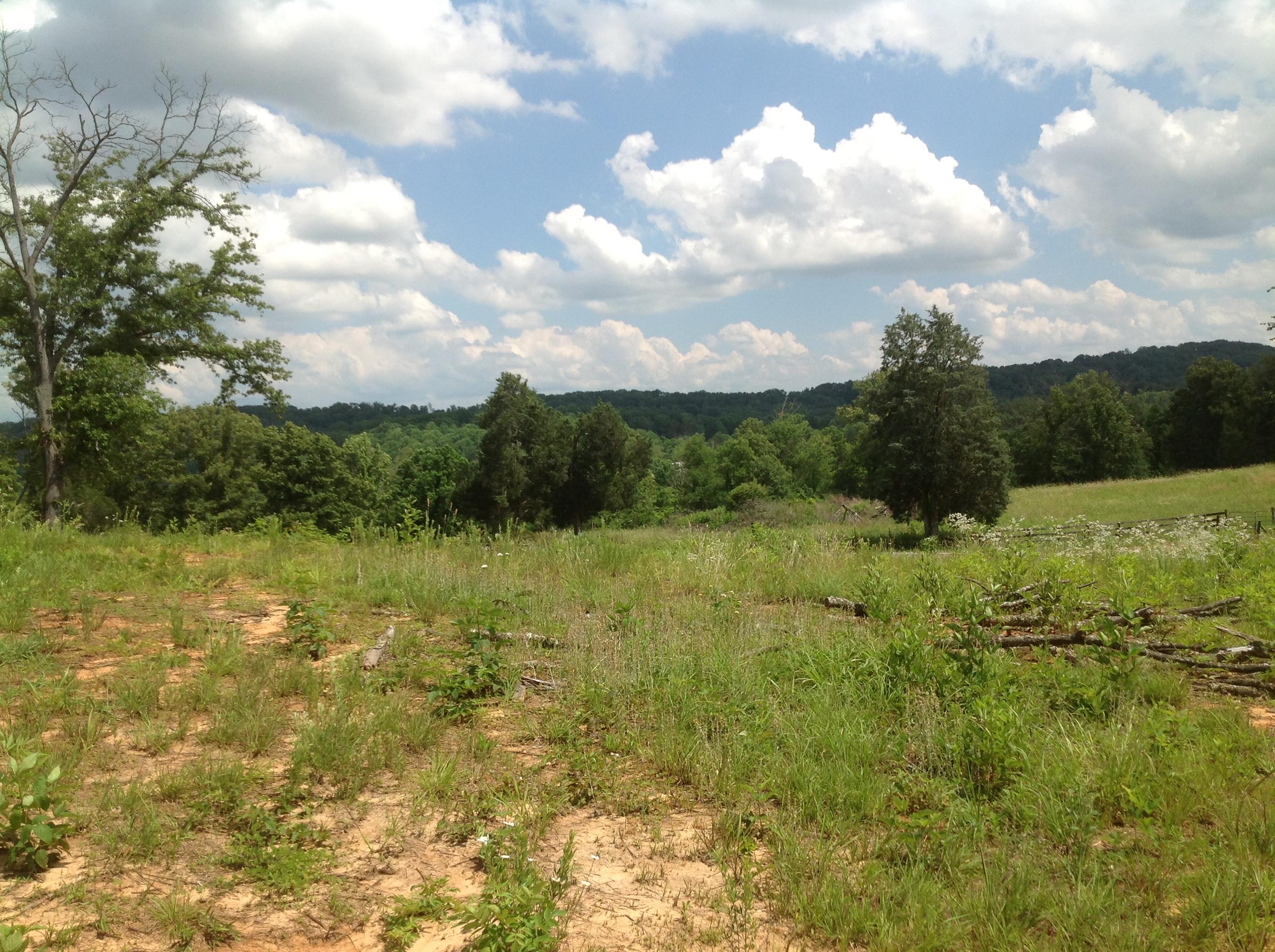 Miser Station Road Maryville, TN 37801 - Photo 8 of 23 IMG_0326