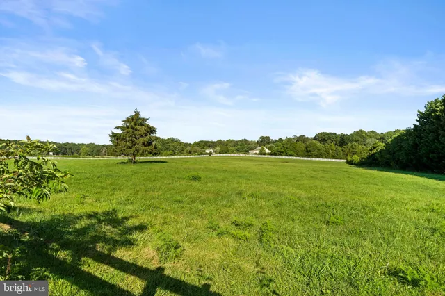a view of a green field with clear sky