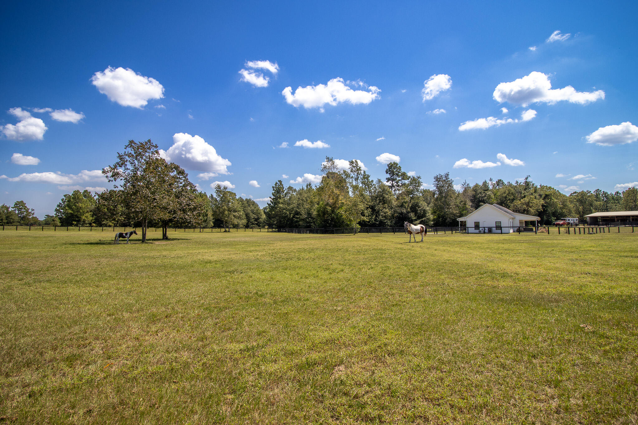 571 Oak Ridge Club Road Windsor, SC 29856 - Photo 48 of 107