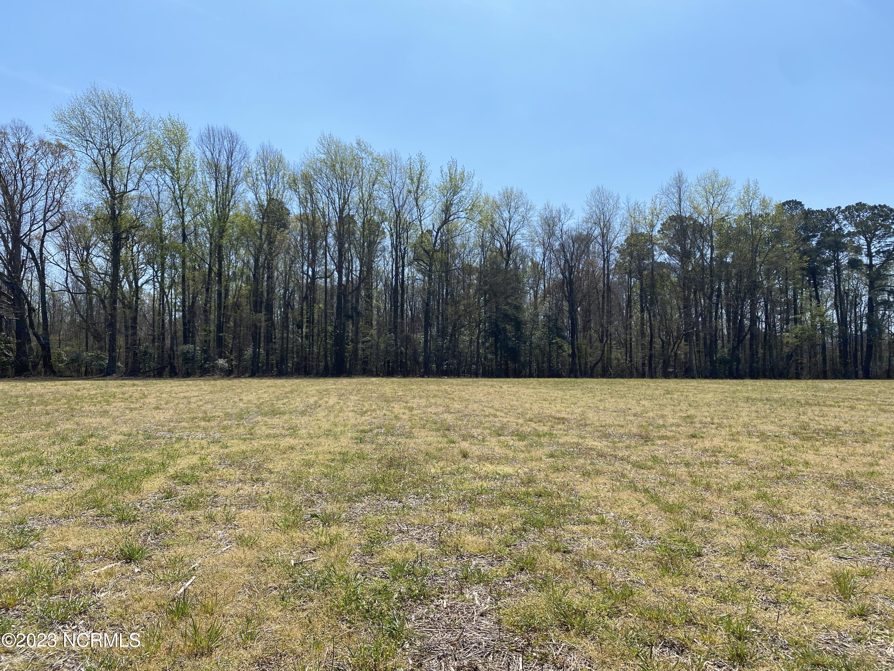 0 Poore Farm Road Chocowinity, NC 27817 - Photo 3 of 6 000 Poore Farm Road - 2
