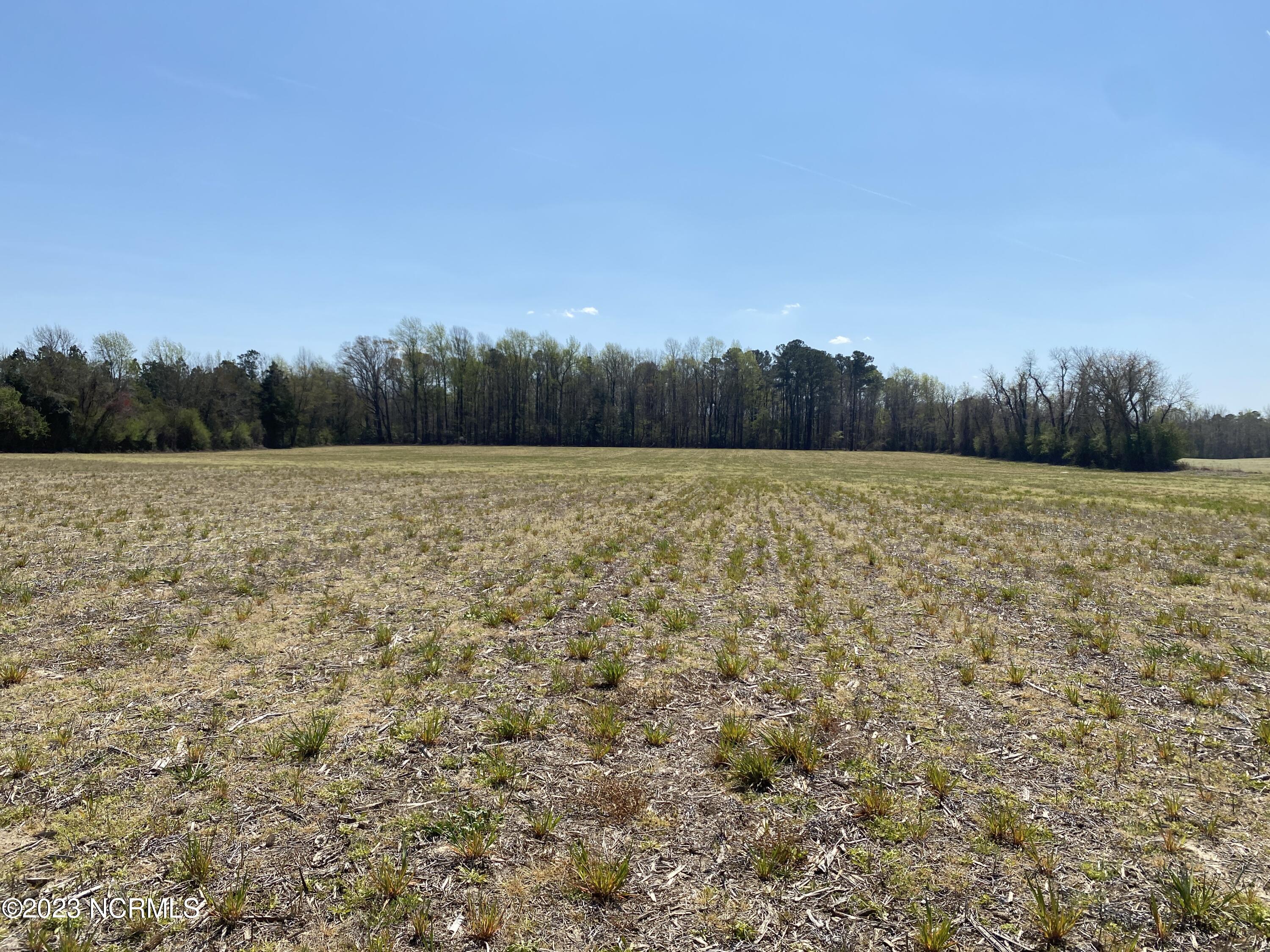 0 Poore Farm Road Chocowinity, NC 27817 - Photo 5 of 6 000 Poore Farm Road - 4
