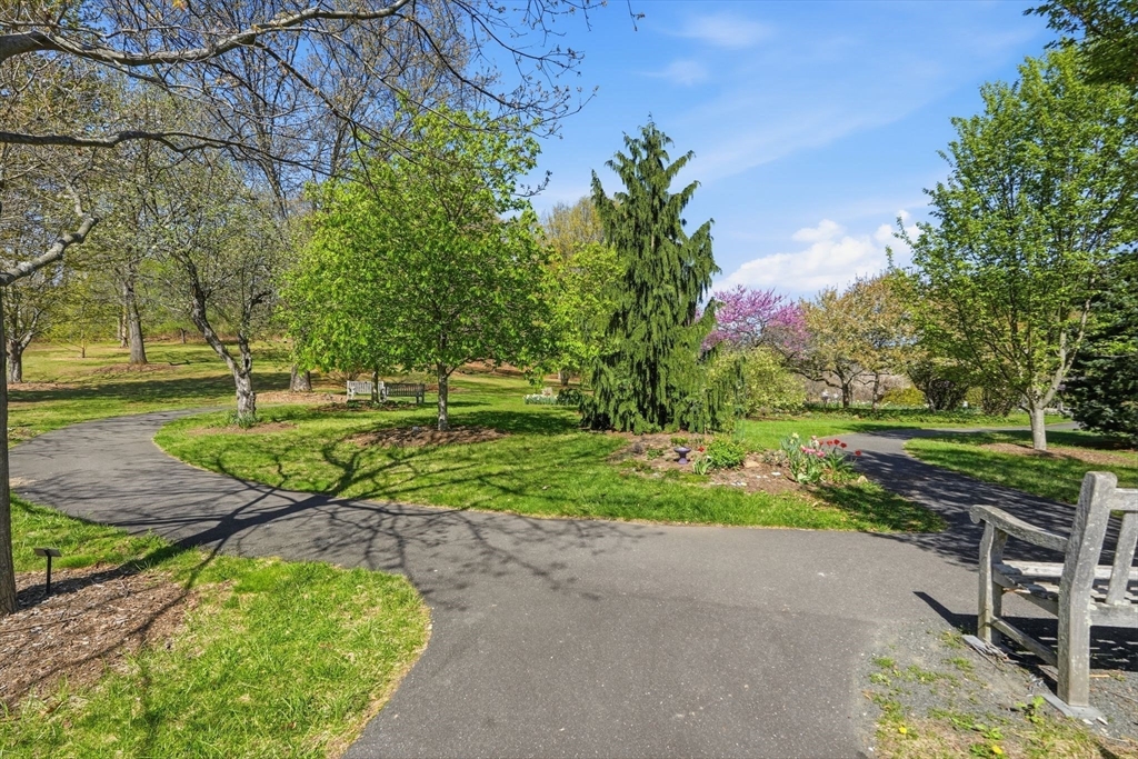 24 McIntosh Drive, Unit 24 Amherst, MA 01002 - Photo 37 of 39 a view of a park with large trees