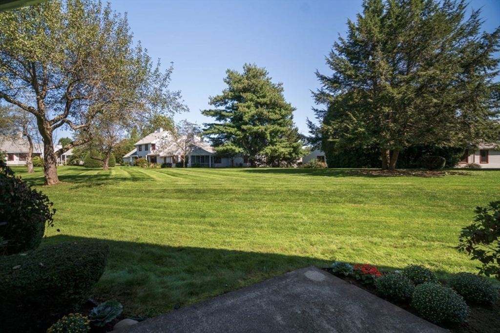 24 McIntosh Drive, Unit 24 Amherst, MA 01002 - Photo 6 of 39 a view of a big yard with plants and large trees