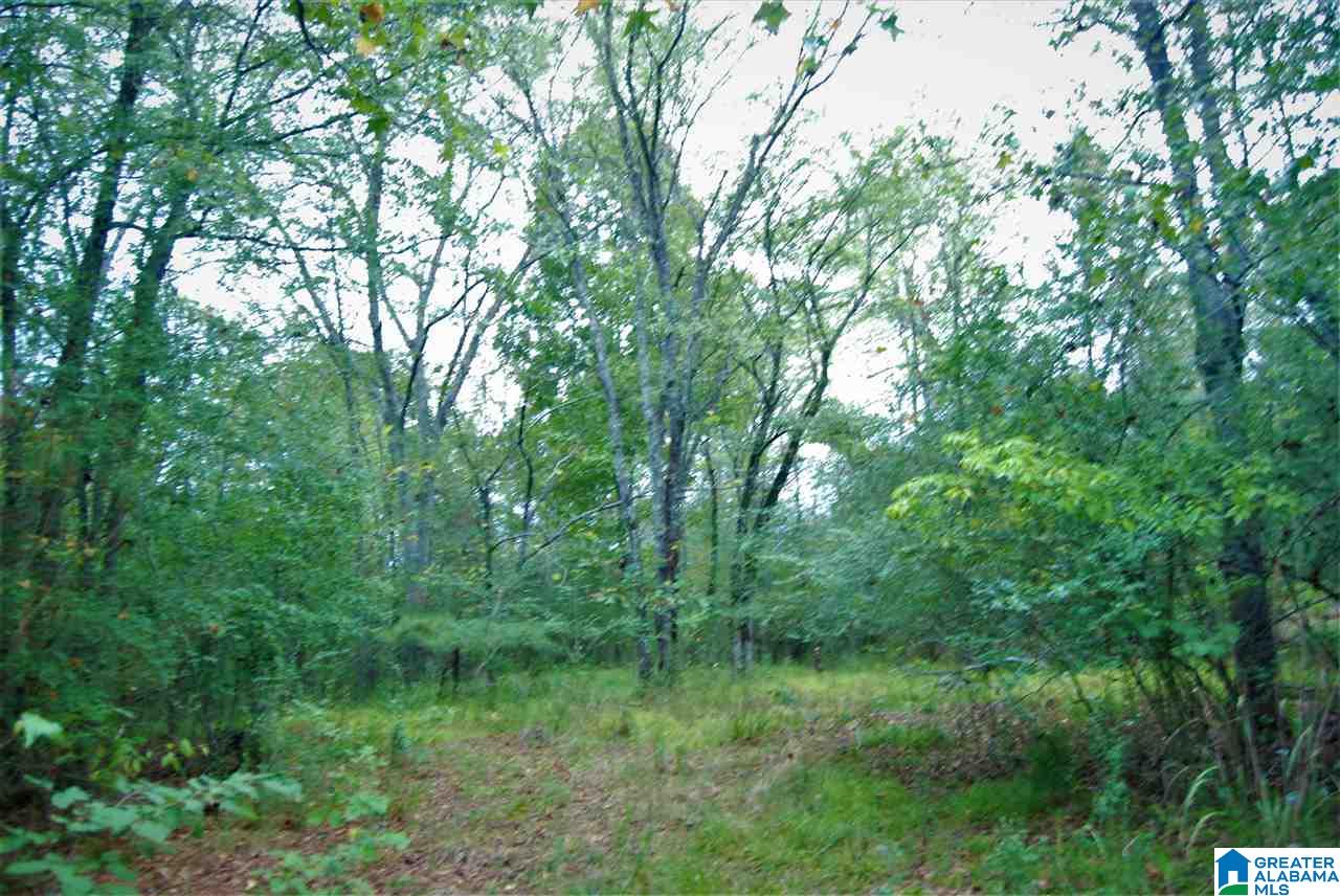 Ranch Marina Road, Unit 1 Pell City, AL 35128 - Photo 6 of 10