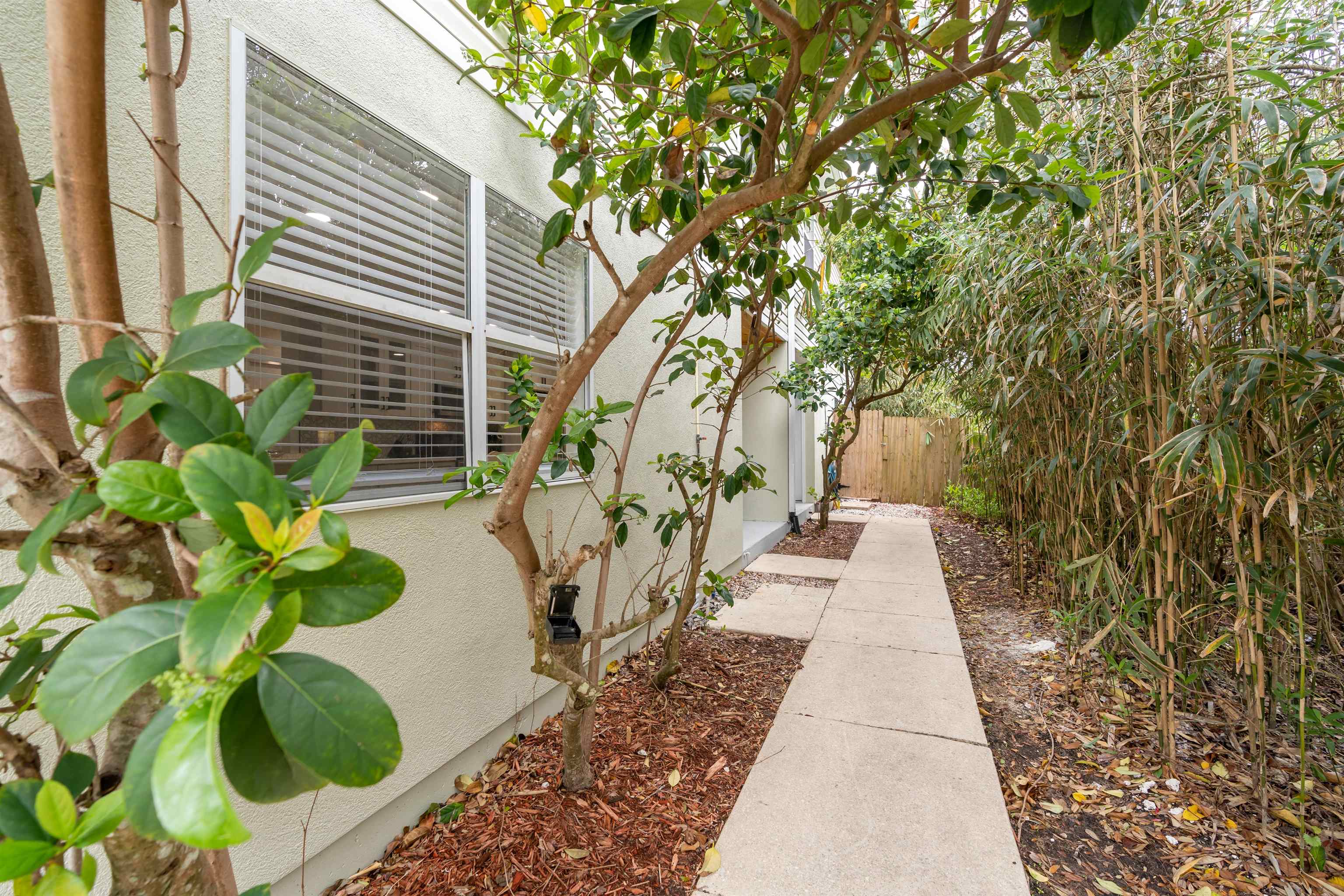 203 E Street St. Augustine, FL 32080 - Photo 25 of 68 View of yard