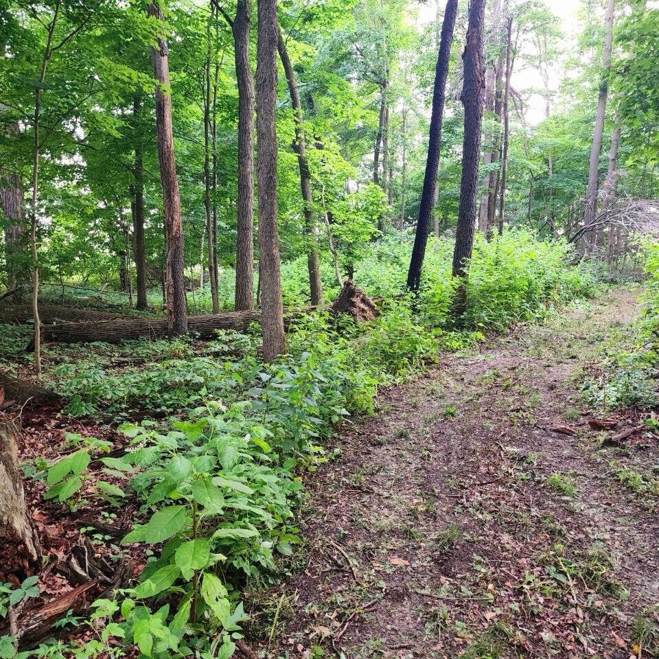 0 Knorr Road, Unit PARCEL 1 Galion, OH 44833 - Photo 10 of 20 0KnorrParcel1_48123_10
