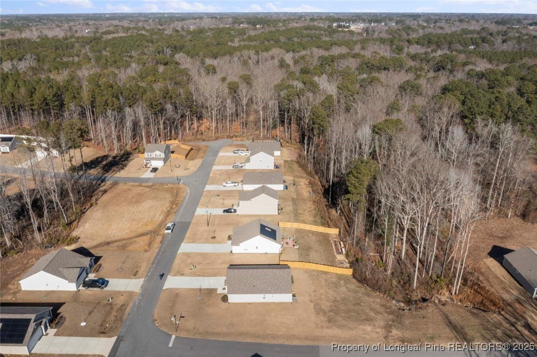 216 Barnsley Road Angier, NC 27501 - Photo 5 of 50 Gallery Image 5
