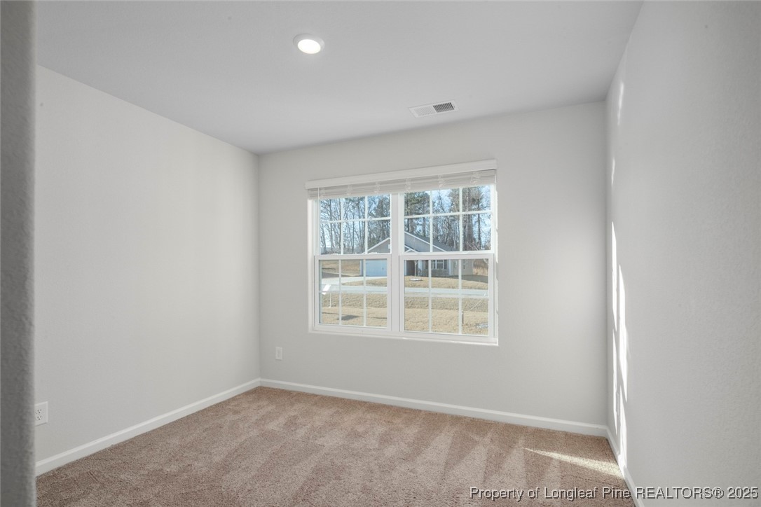 216 Barnsley Road Angier, NC 27501 - Photo 10 of 50 Gallery Image 10