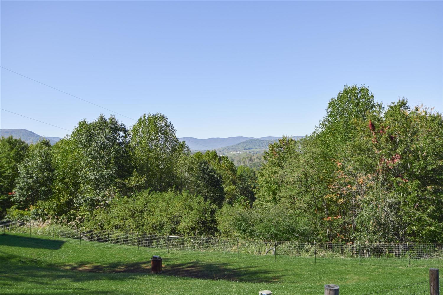 3111 Johnson School Road Thaxton, VA 24174 - Photo 22 of 24 a view of a grassy field with trees