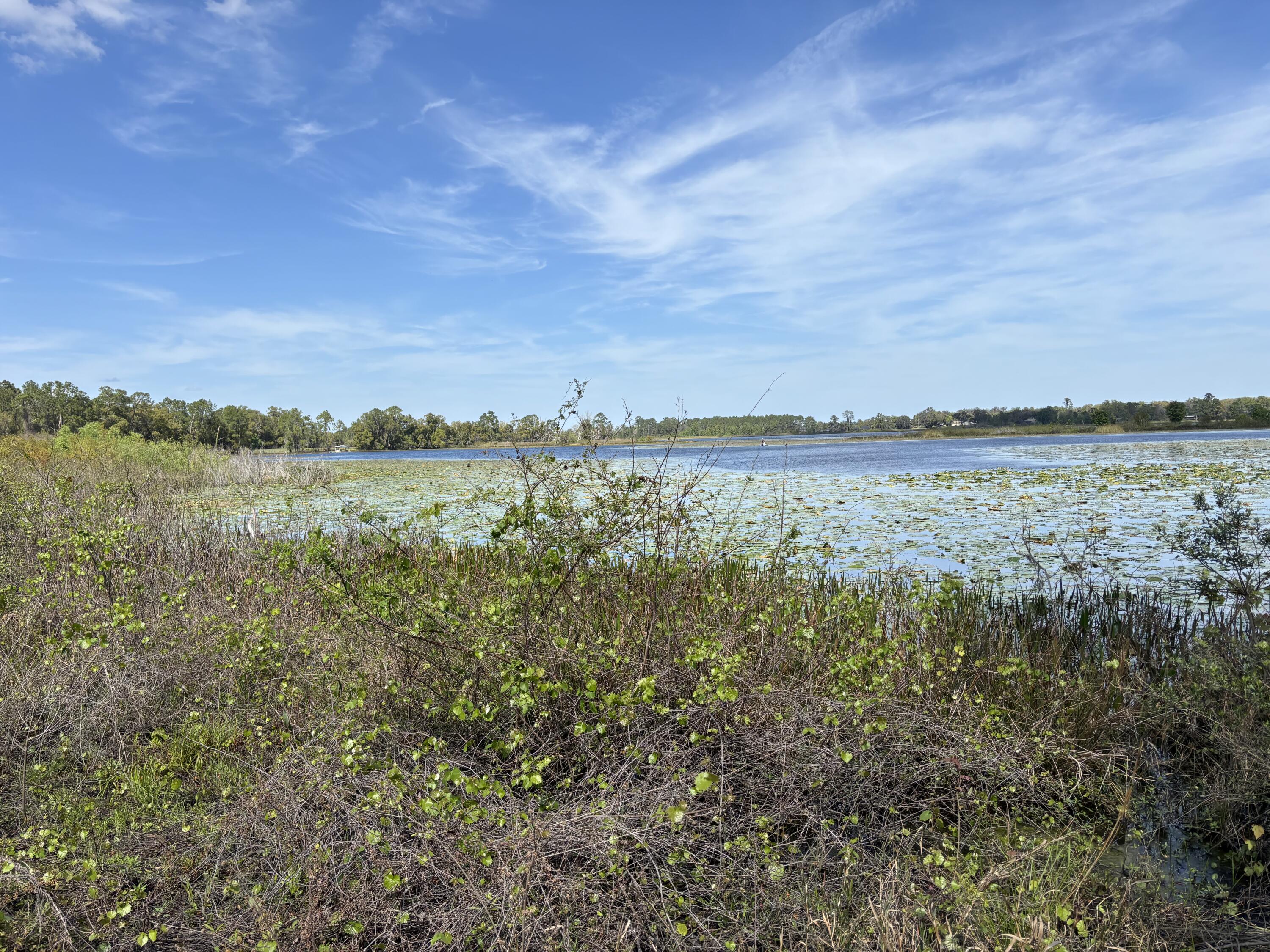 a view of a lake with houses in the back