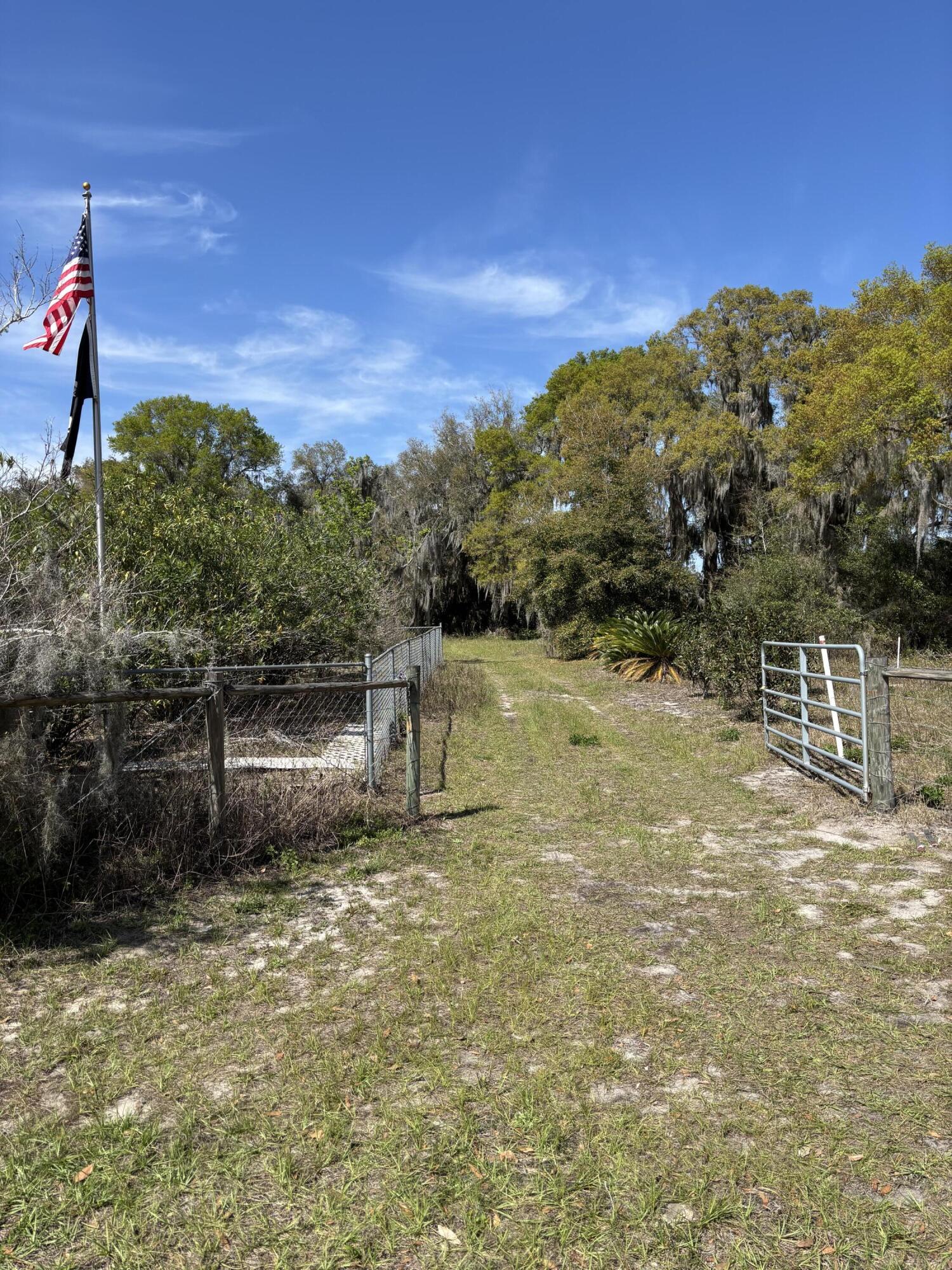 1970 McBride Road Seville, FL 32190 - Photo 2 of 5 a view of a lake with a mountain
