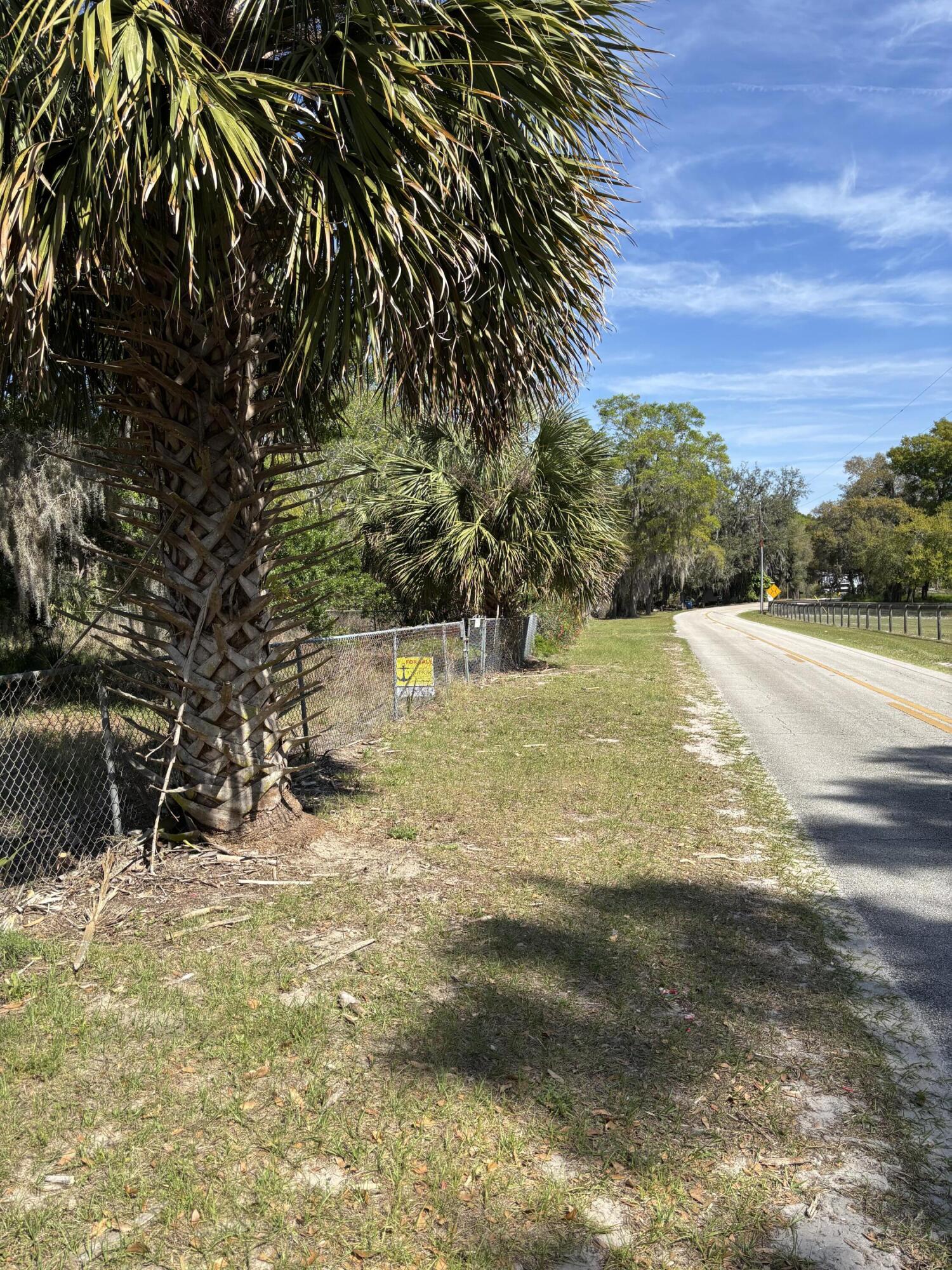 1970 McBride Road Seville, FL 32190 - Photo 3 of 5 a view of a yard with an trees