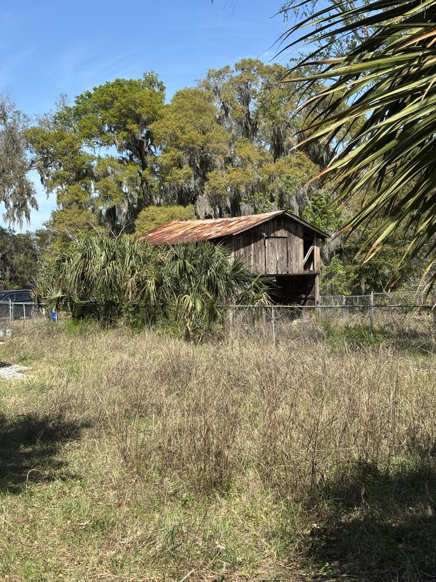 1970 McBride Road Seville, FL 32190 - Photo 4 of 5 a backyard of a house with lots of green space