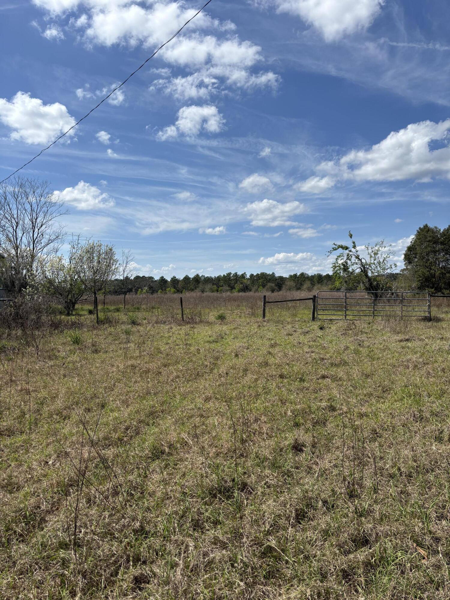 1970 McBride Road Seville, FL 32190 - Photo 5 of 5 a view of a lake with houses in the back