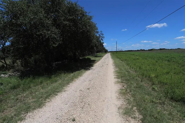 a view of a yard with plants