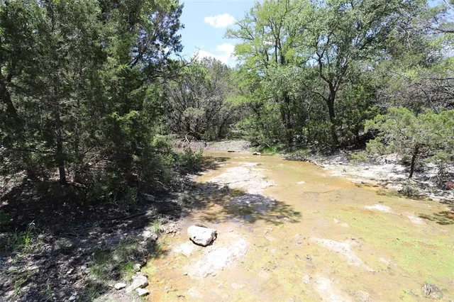 a view of a yard with large trees