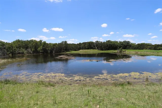 a view of a lake with a city