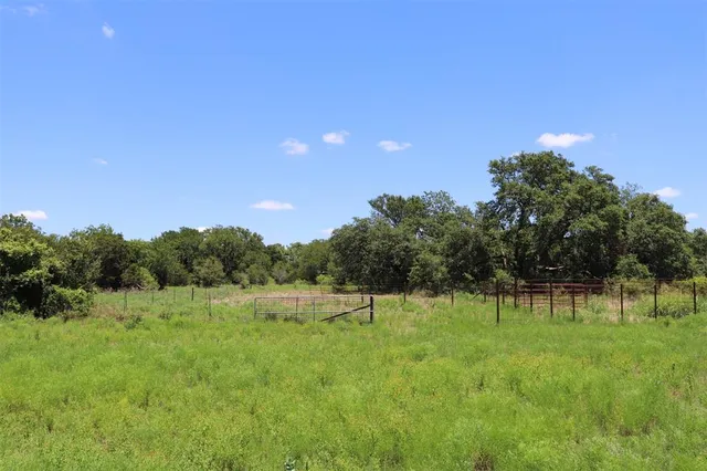 a view of outdoor space with trees all around