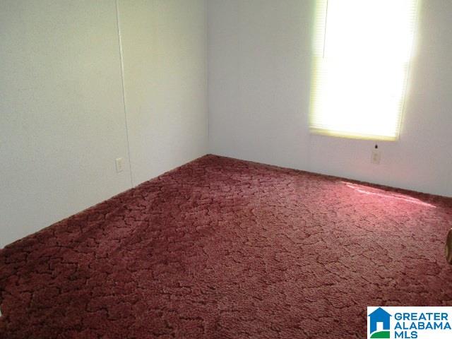 7610 Highway 11 Springville, AL 35146 - Photo 13 of 23