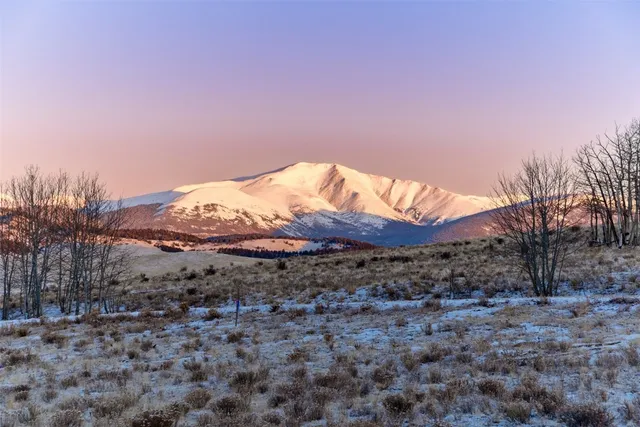 a view of a backyard of a house