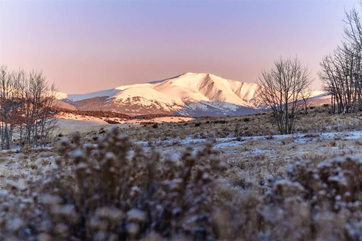 53 Anhinga Road Como, CO 80432 - Photo 40 of 45 a view of an outdoor space and a yard