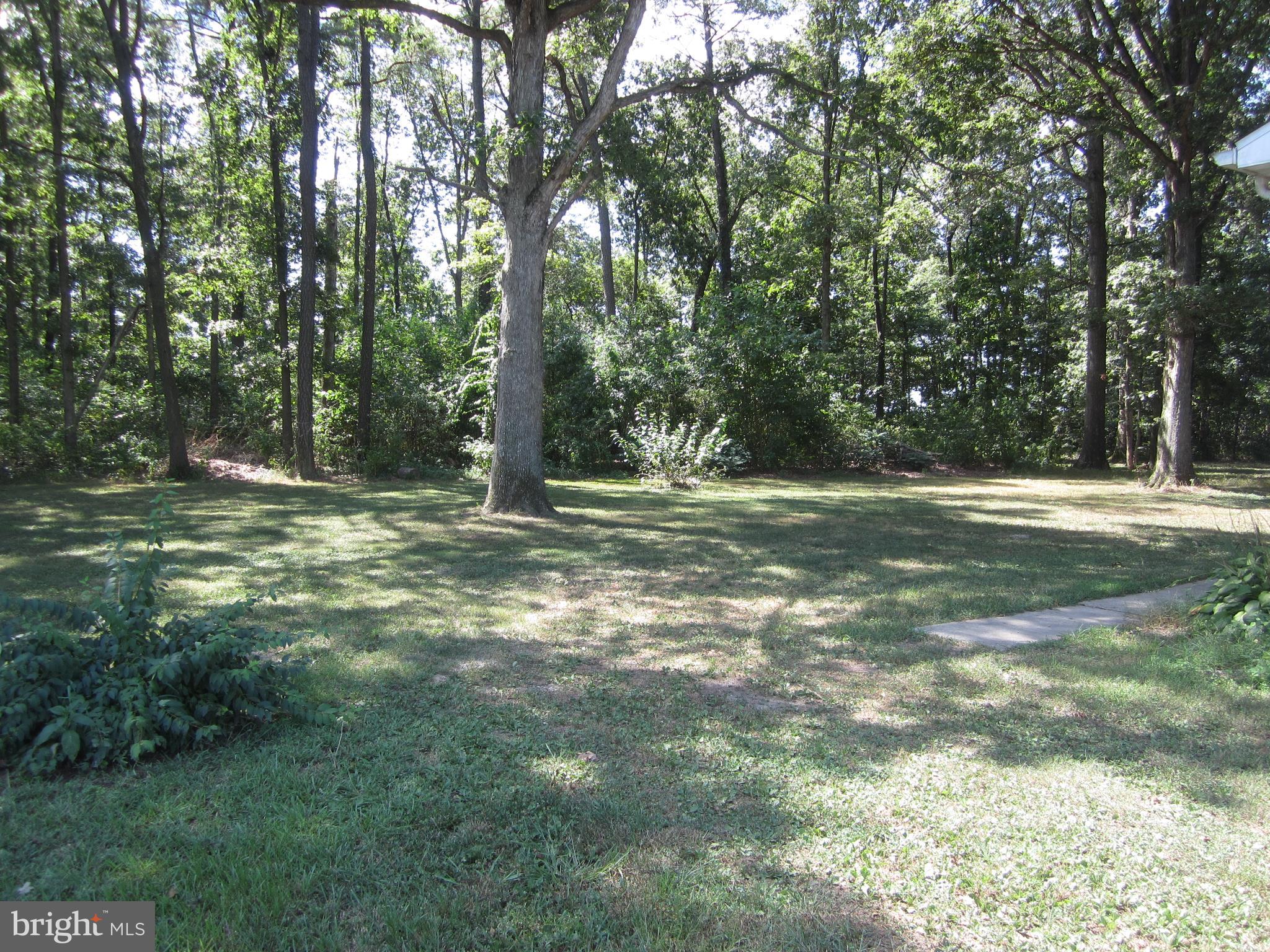 6811 Bobtown Road Hurlock, MD 21643 - Photo 3 of 14 Backyard