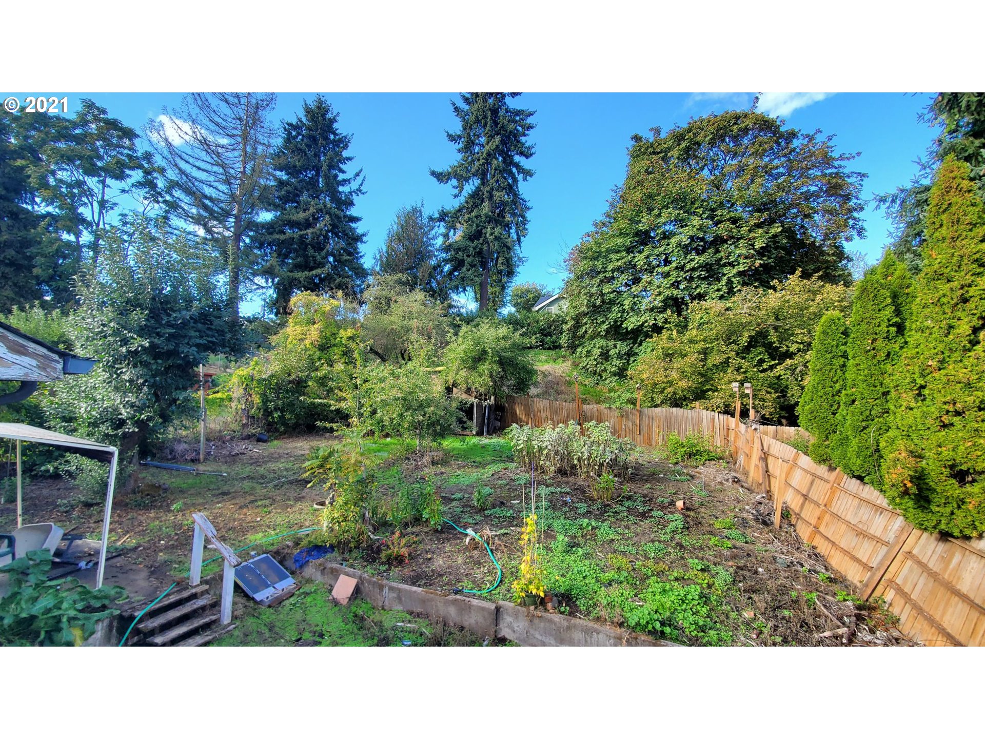 320 West D Street Springfield, OR 97477 - Photo 15 of 19 a view of a outdoor space