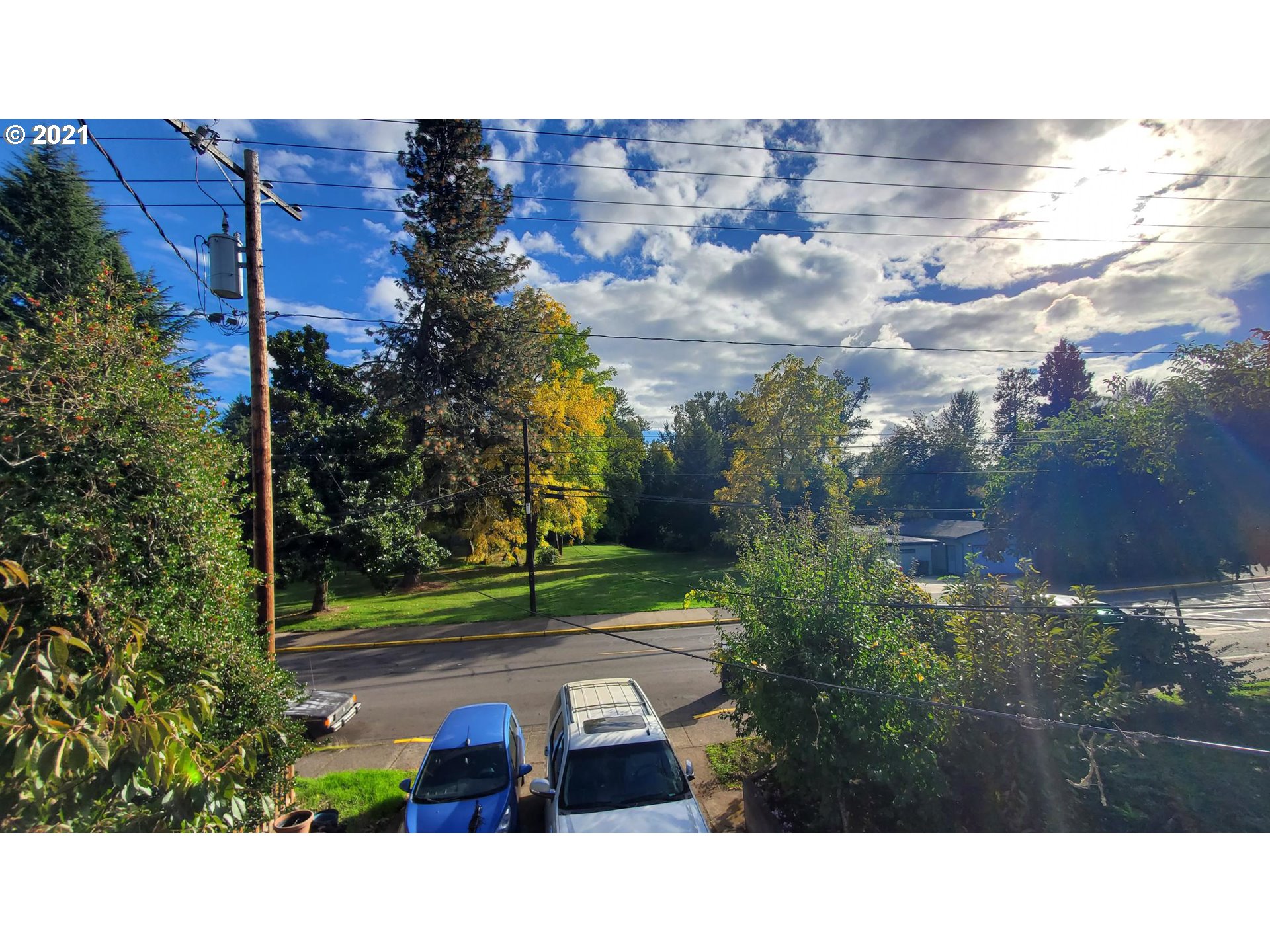 320 West D Street Springfield, OR 97477 - Photo 16 of 19 a picture of a yard