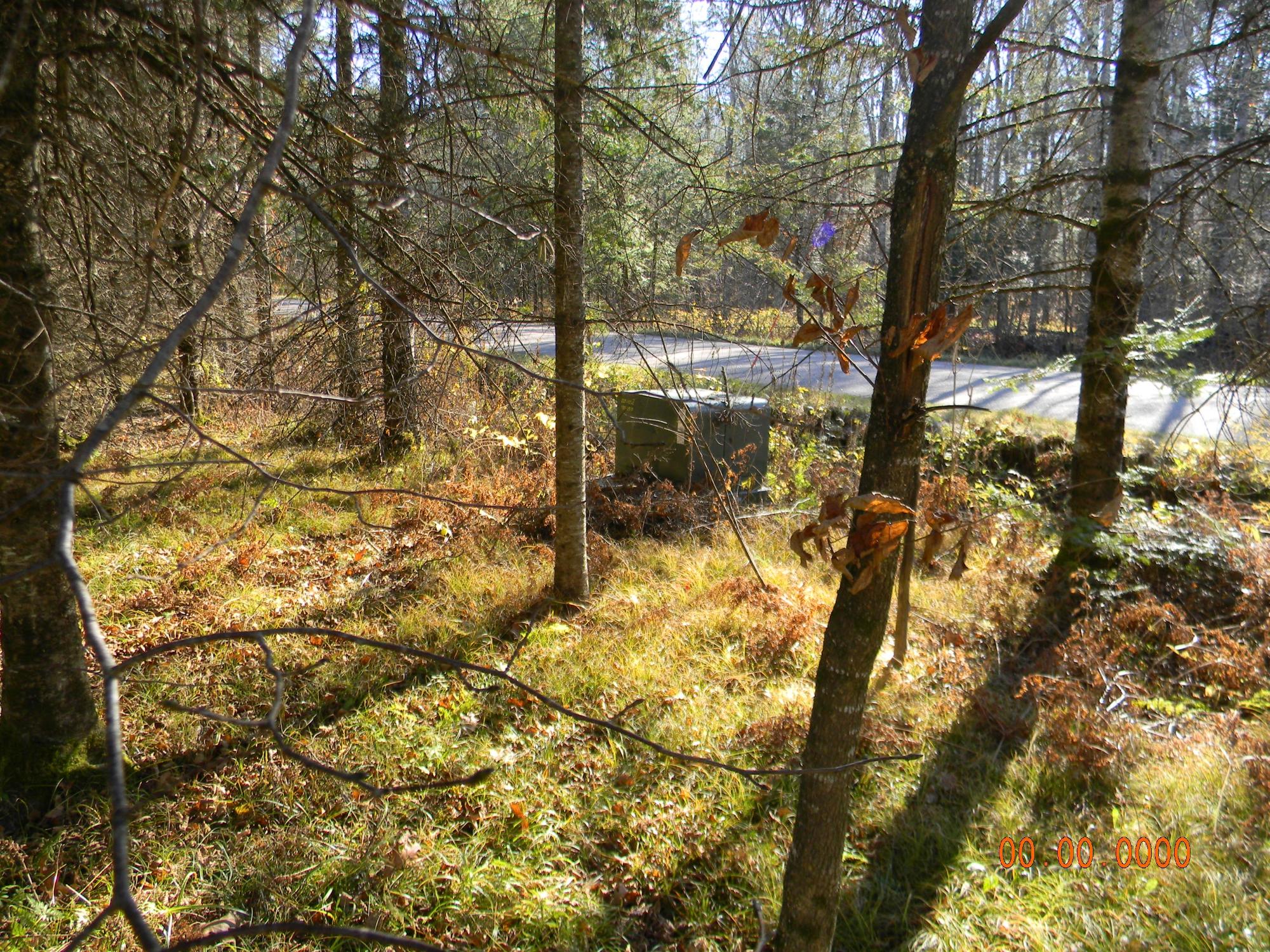 N7873 Forest Road Deerbrook, WI 54424 - Photo 7 of 31 Gallery Image 7