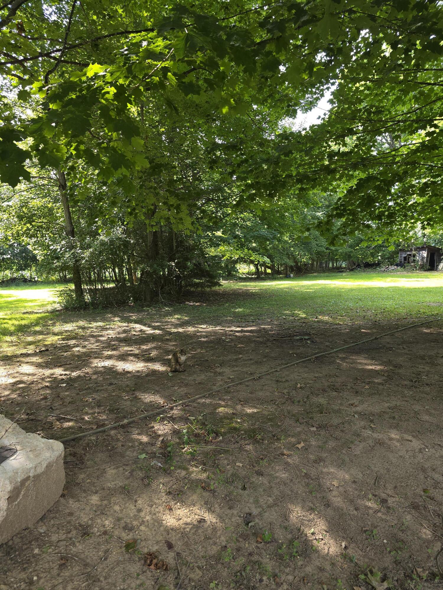 2520 South Sand Lake Road Hillsdale, MI 49242 - Photo 10 of 45 20250810_164713