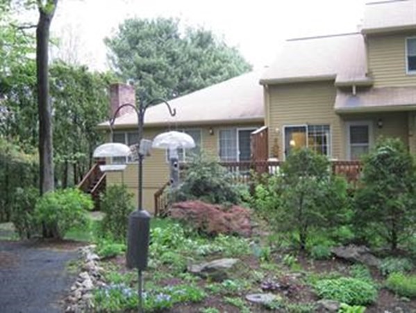 a front view of a house with a garden and plants