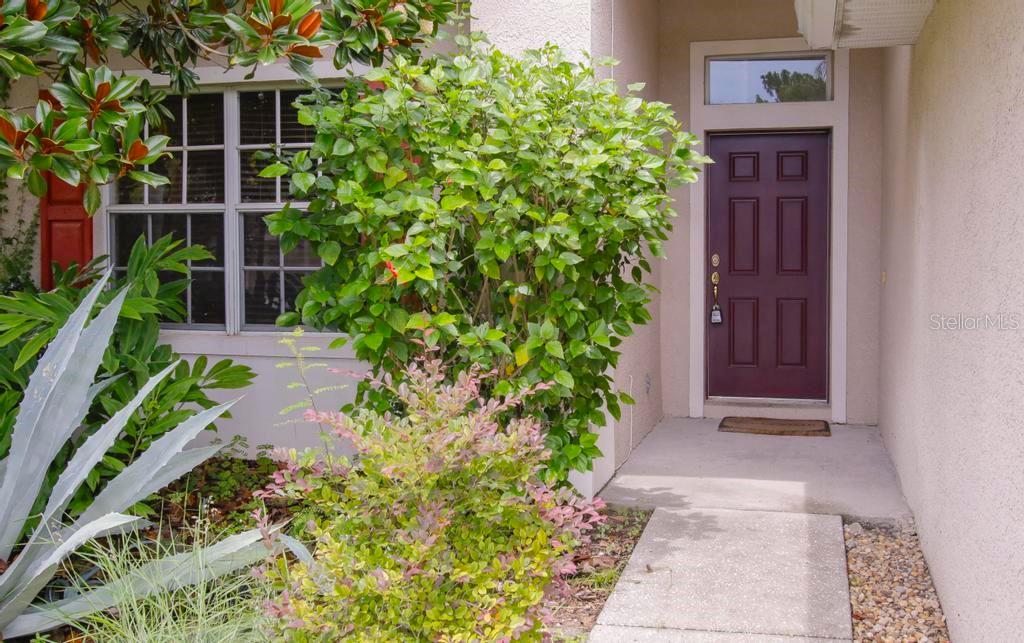 4394 Edenrock Place Spring Hill, FL 34609 - Photo 37 of 72