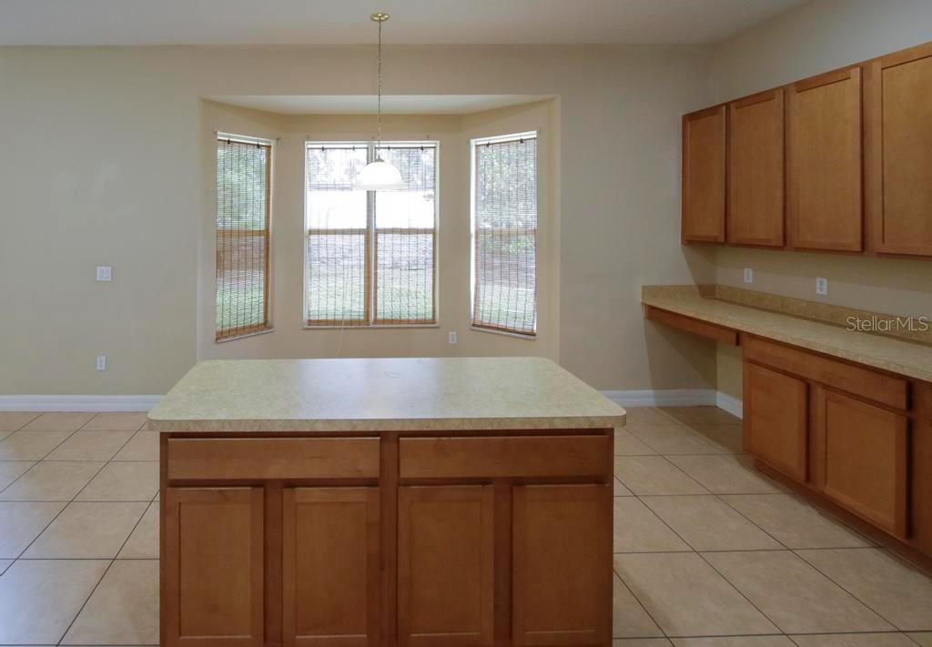 4394 Edenrock Place Spring Hill, FL 34609 - Photo 53 of 72