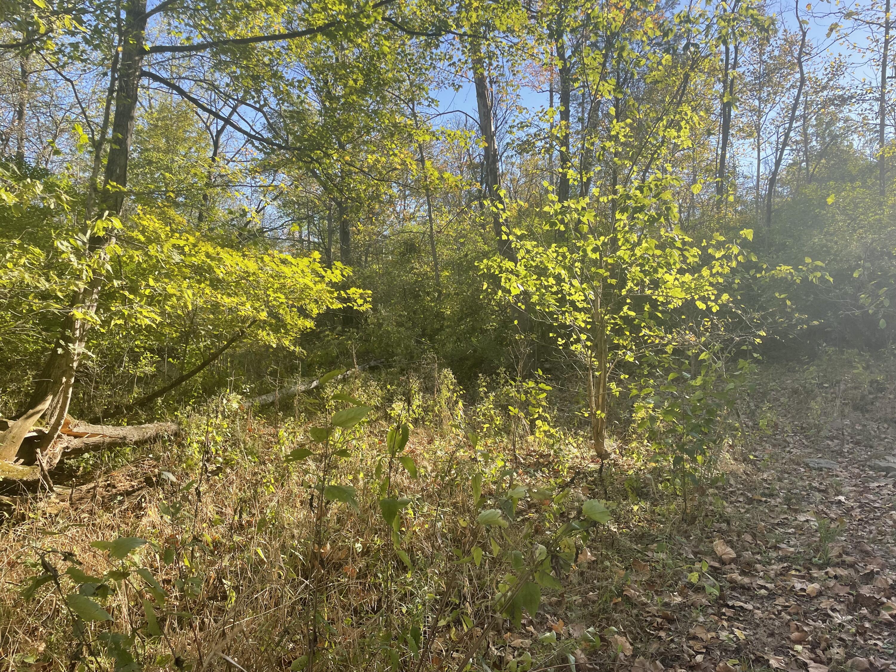 3311 Hempfling Road Morning View, KY 41063 - Photo 6 of 26
